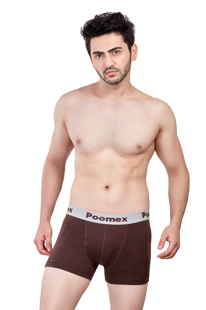 Elegant Trunk (Pack of 3)