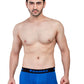Elegant Trunk (Pack of 3)