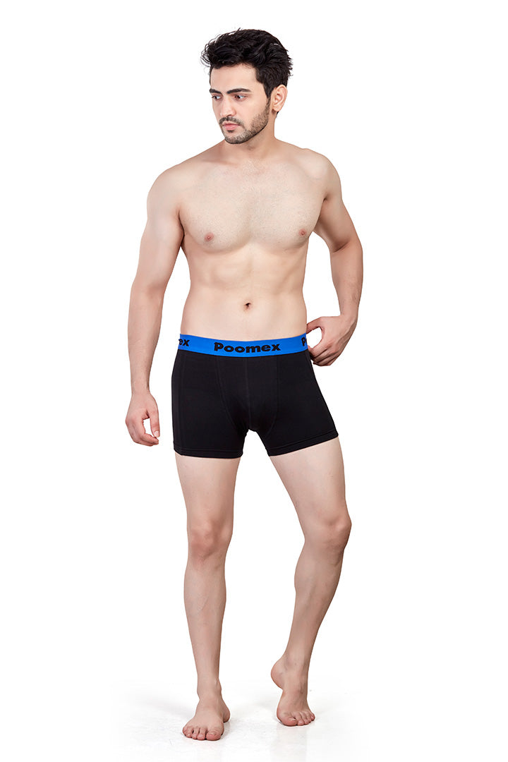 Elegant Trunk (Pack of 3)