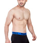 Elegant Trunk (Pack of 3)