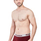 Elegant Trunk (Pack of 3)