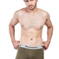 Elegant Trunk (Pack of 3)