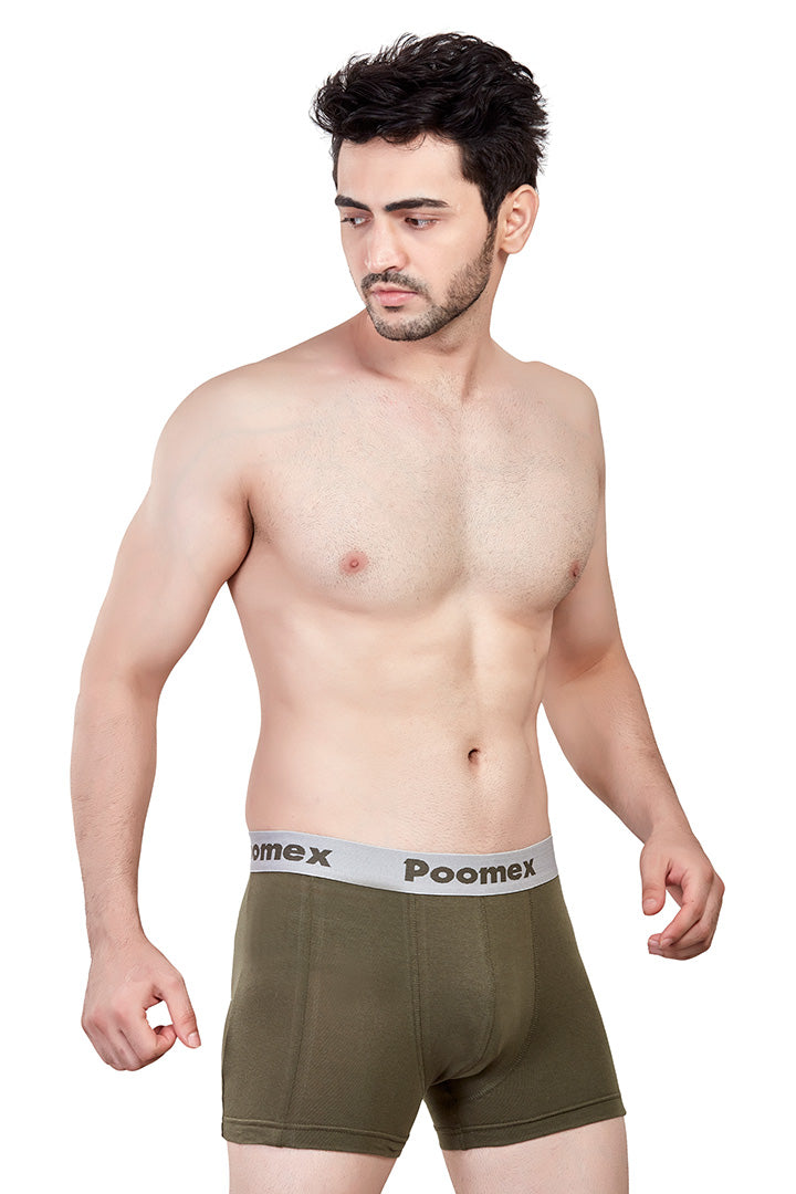 Elegant Trunk (Pack of 3)