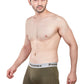 Elegant Trunk (Pack of 3)