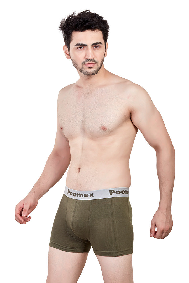 Elegant Trunk (Pack of 3)