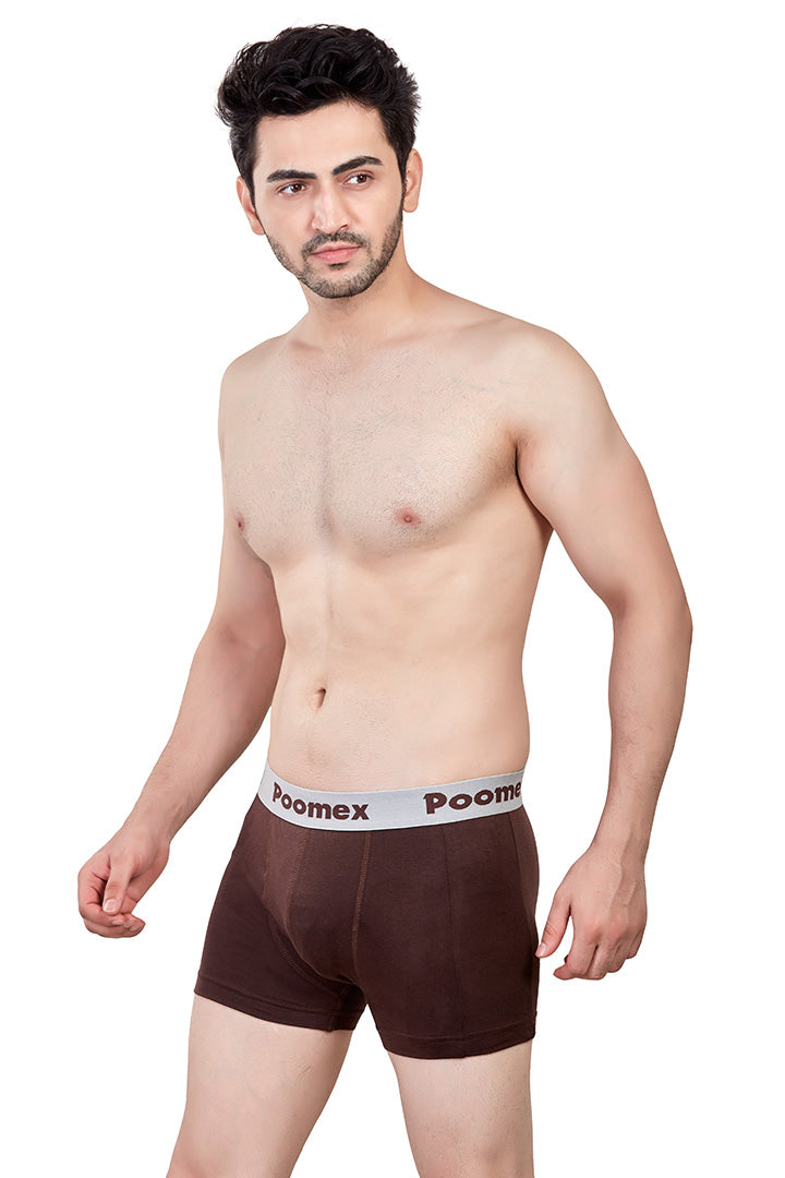 Elegant Trunk (Pack of 3)