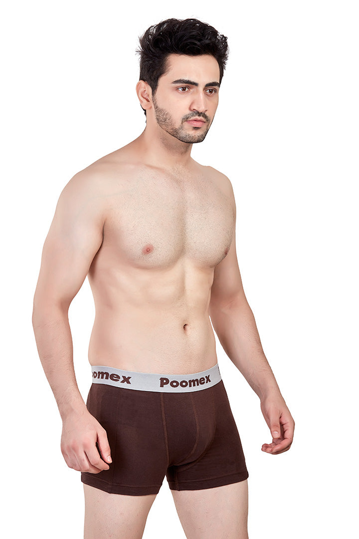 Elegant Trunk (Pack of 3)