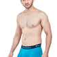 Elegant Trunk (Pack of 3)