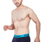 Elegant Trunk (Pack of 3)