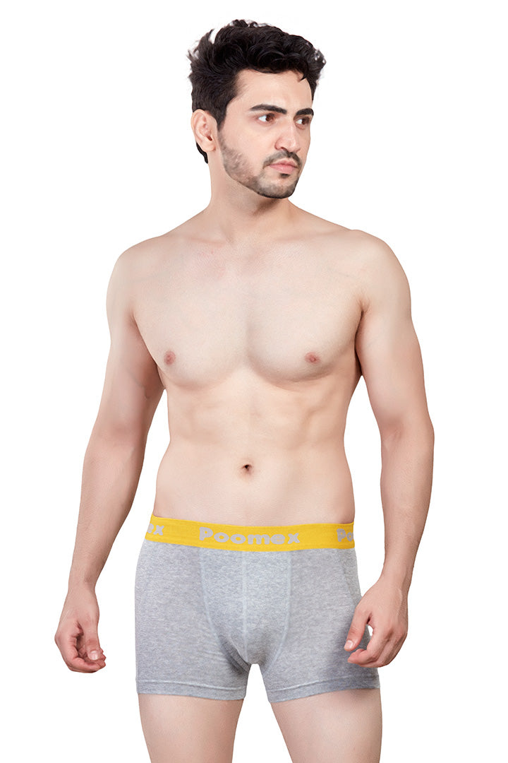 Elegant Trunk (Pack of 3)