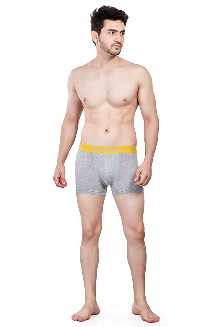 Elegant Trunk (Pack of 3)