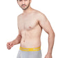 Elegant Trunk (Pack of 3)