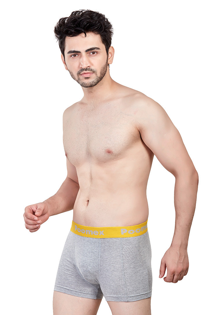 Elegant Trunk (Pack of 3)