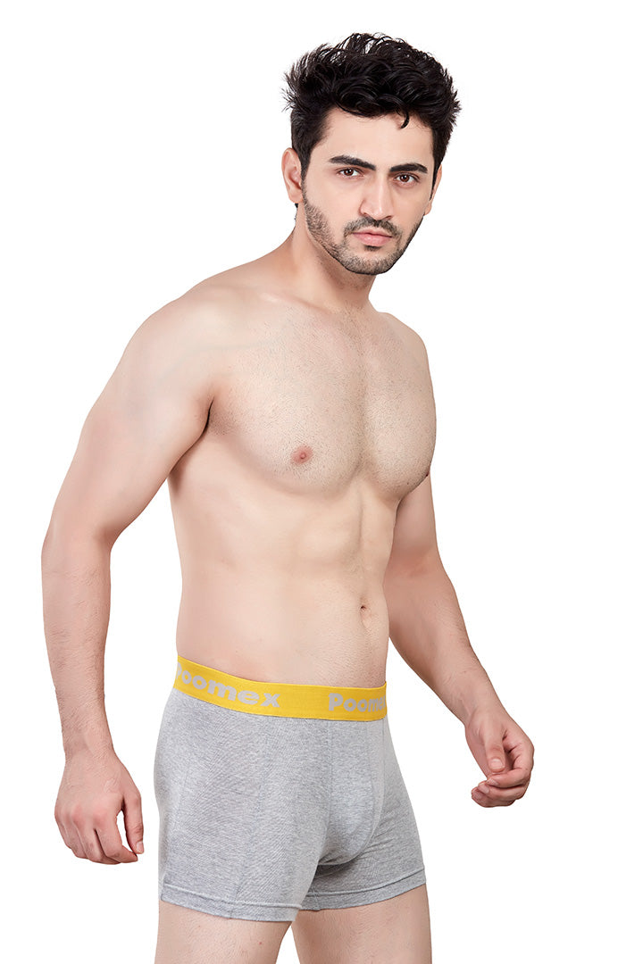 Elegant Trunk (Pack of 3)