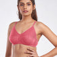 Beauty Bra (Pack of 3)