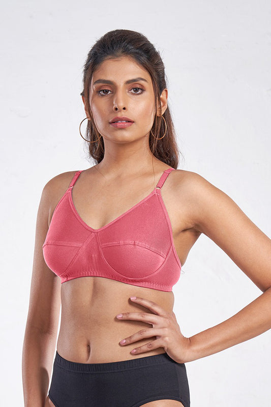 Beauty Bra (Pack of 3)