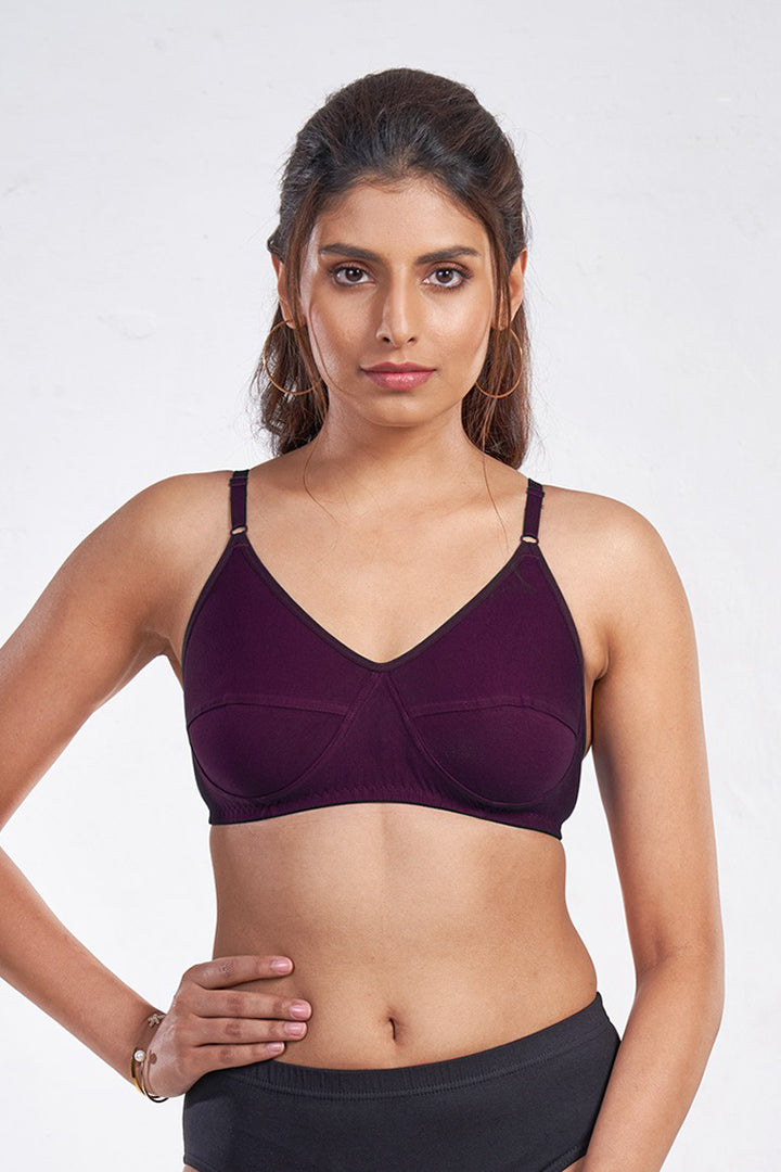Beauty Bra (Pack of 3)